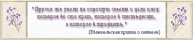 Девиз организации